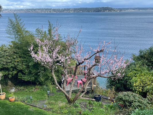 TAKING a  DEEP SOUNDING on SOUNDCLIFF...