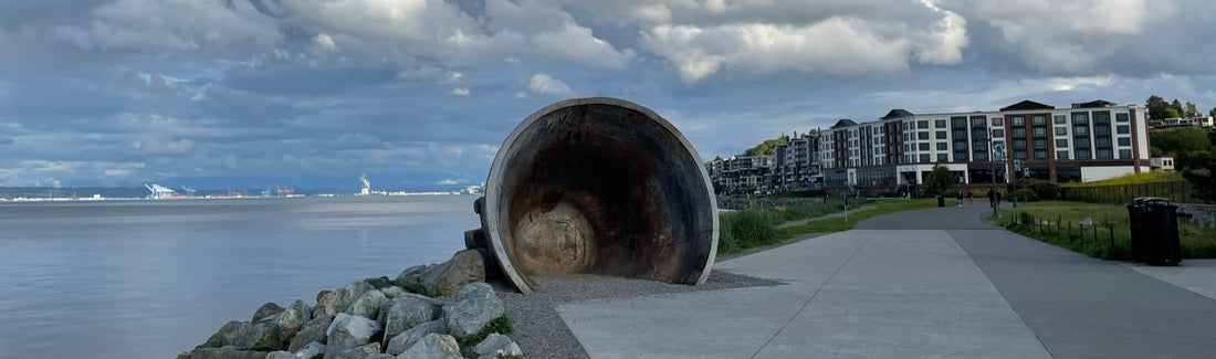 WALKABOUT  POINT RUSTON...