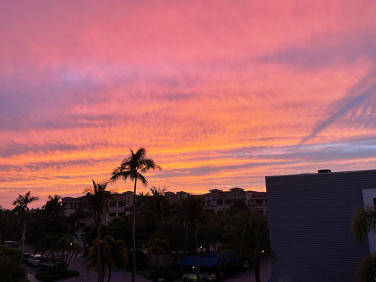 SUNSHINE & PALM TREES