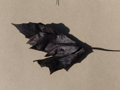 Late Season Early Morning...  FIRE!