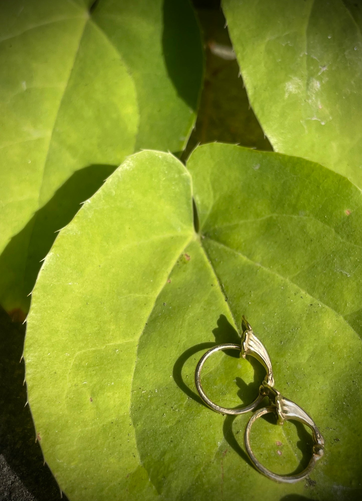 14K Gold Small Lily Hoop Earrings