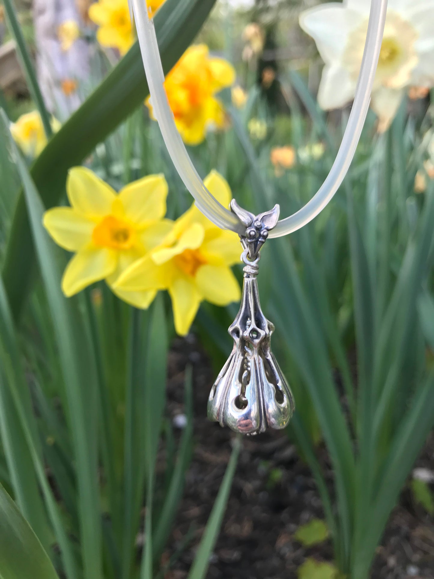 Daffodil Kiss - Sterling