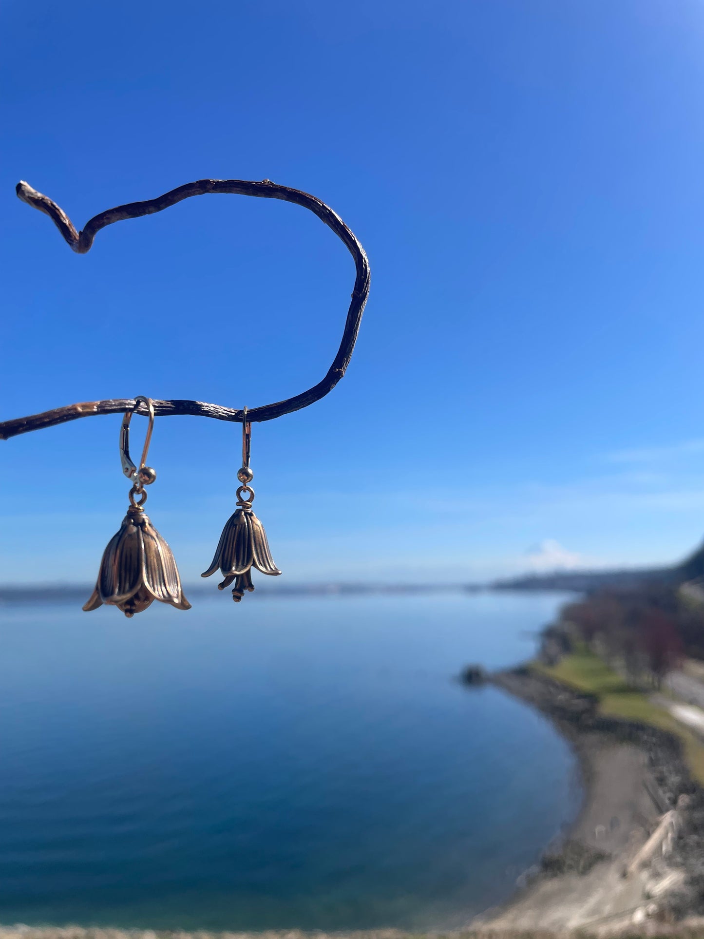 Chocolate Lily Earrings Bronze