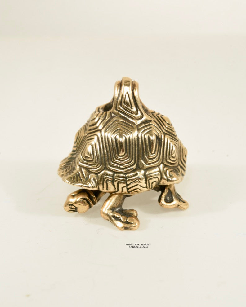Turtle Bronze