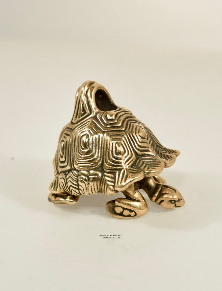 Turtle Bronze