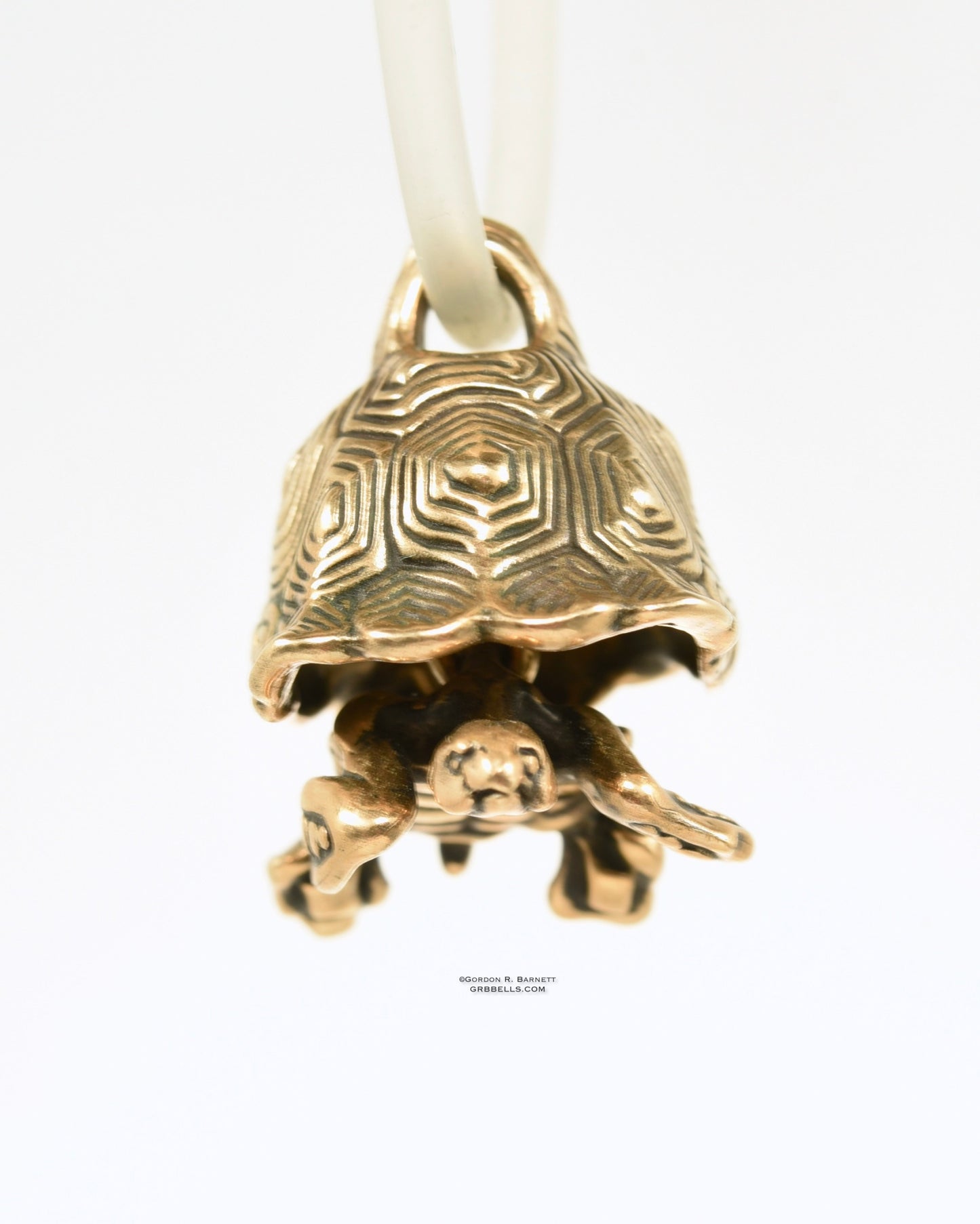 Turtle Bronze