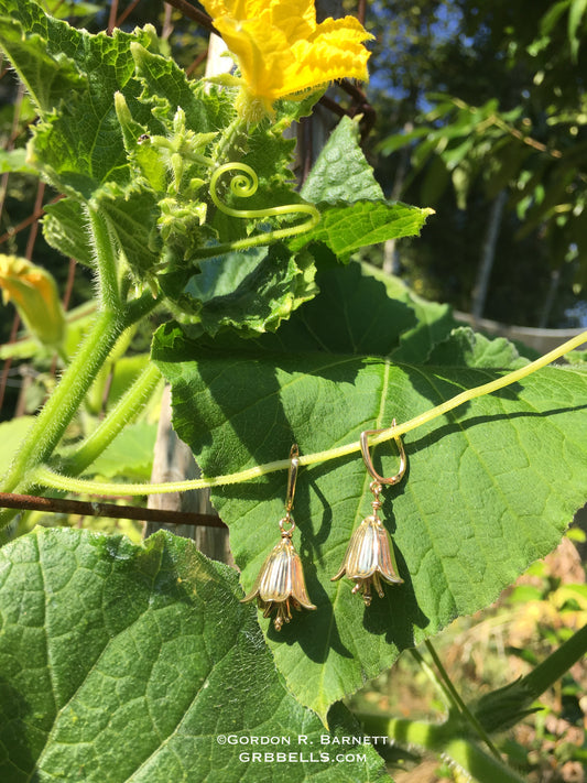 14K Gold Small Chocolate Lily Bell Earrings